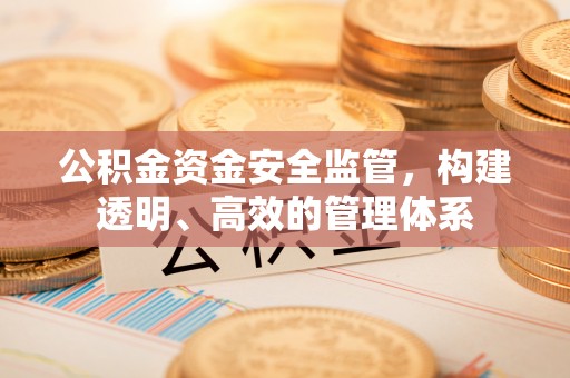 大朗公积金资金安全监管，构建透明、高效的管理体系