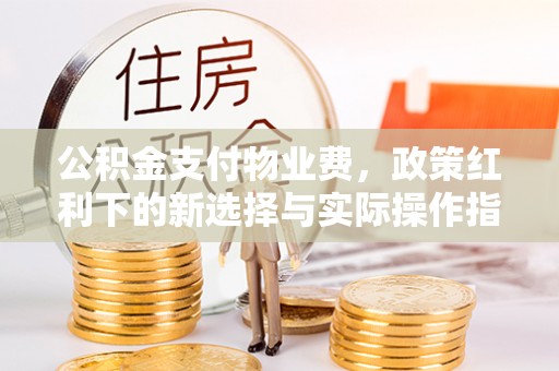 大朗公积金支付物业费，政策红利下的新选择与实际操作指南