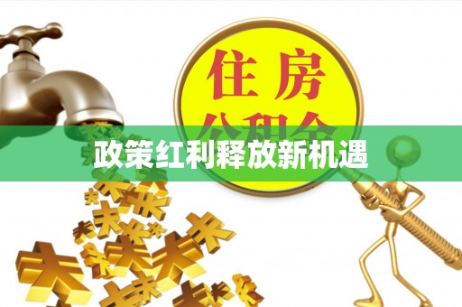 大朗政策红利释放新机遇
