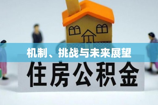 大朗机制、挑战与未来展望