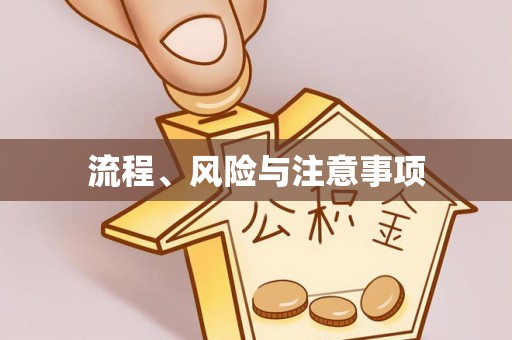 大朗流程、风险与注意事项